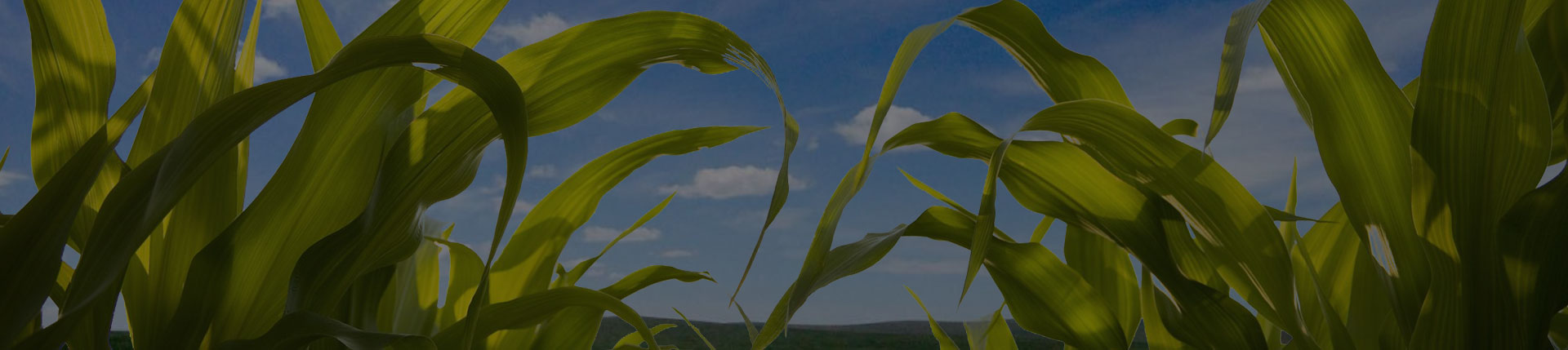 濟(jì)寧億通液壓件有限公司